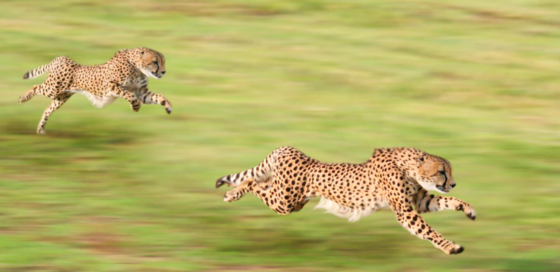 Stronger bonds. Brain gym упражнения. Команда разработчиков игр. Strong development. Sanctions 5th tran.