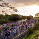 Comrades Marathon 2020 Race Information